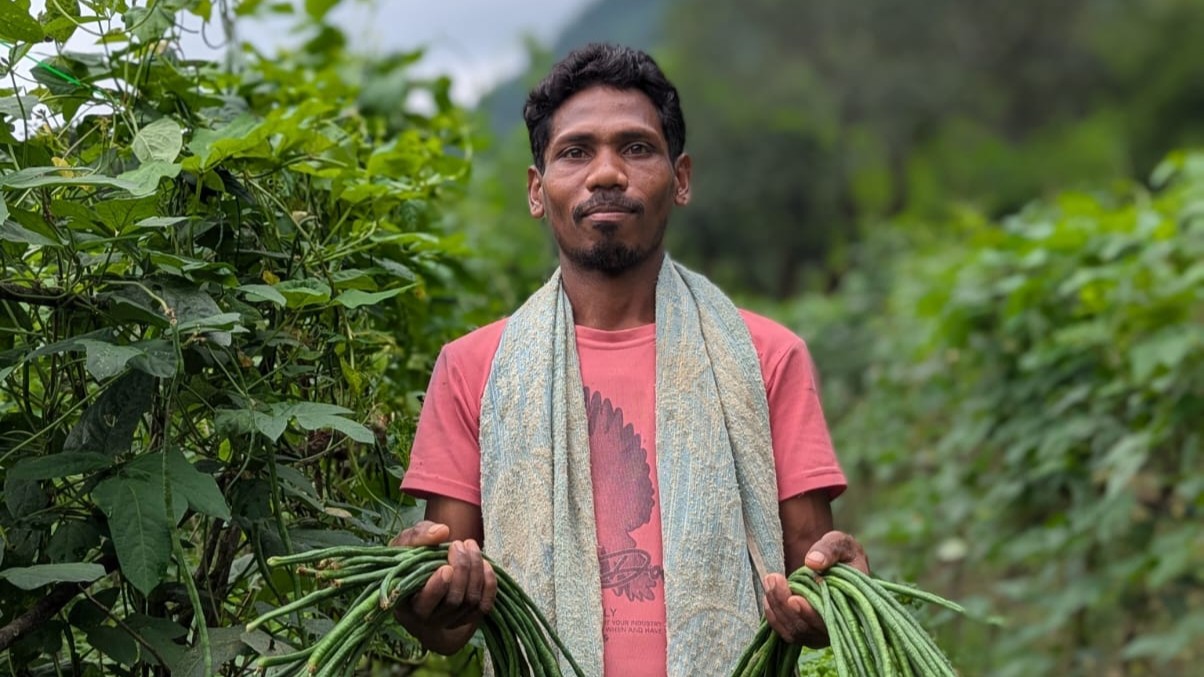 Tuber and Vegetable Farming programme